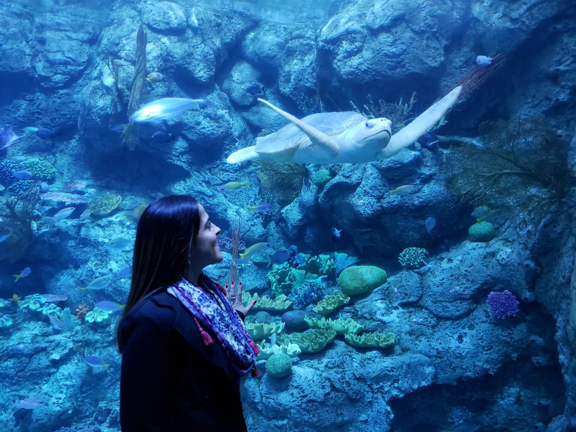 Visit to Aquarium of the Pacific - USC Viterbi
